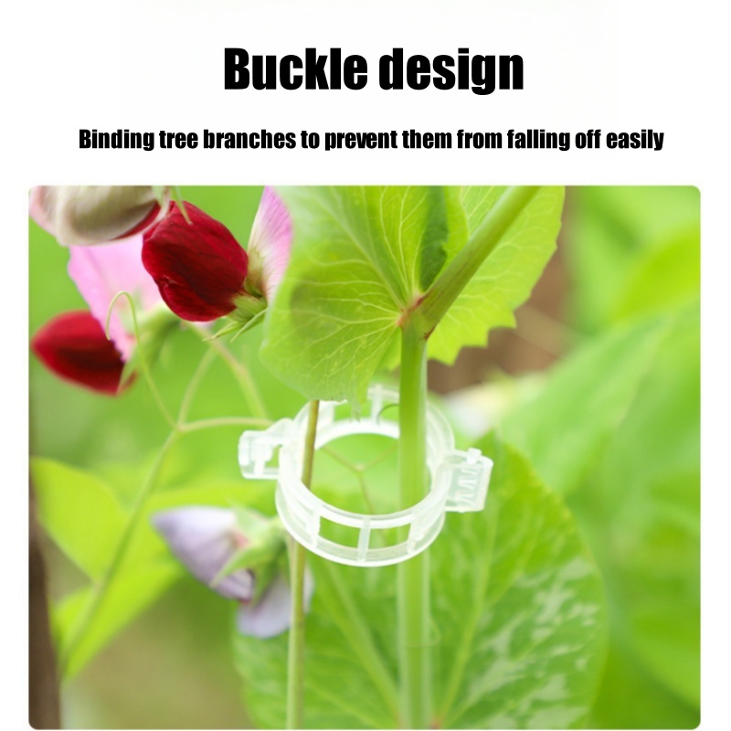 500Pcs Plastic Plant Support C - Vine Climbing Plastic ulasan dan harga